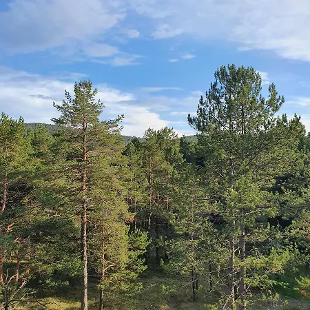 Vukmanovic Διαμέρισμα